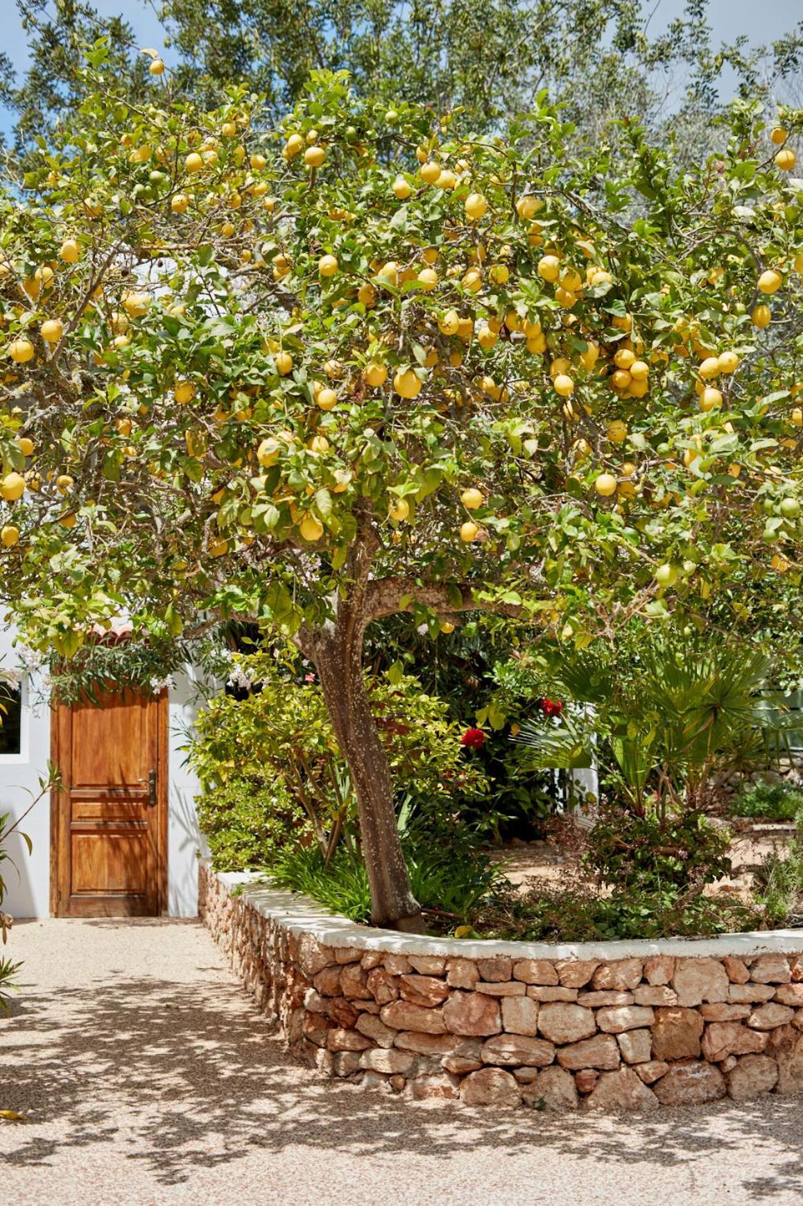 Valley Club Ibiza - Boutique Agroturismo Сан-Хуан-Баутиста Экстерьер фото